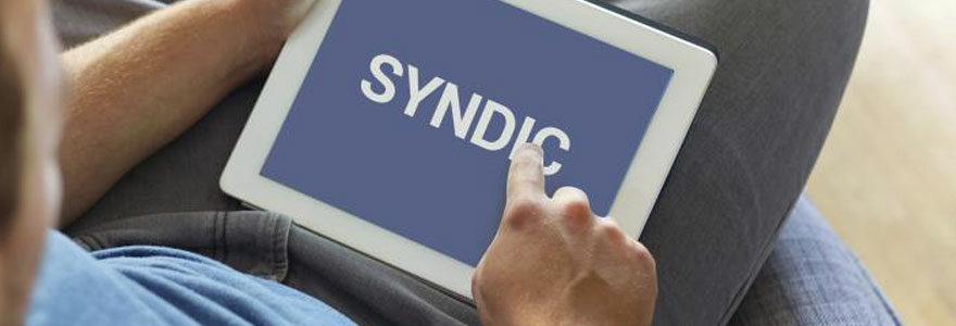 syndic